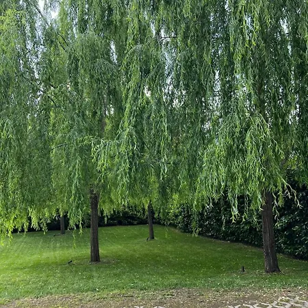 Villa Salici, Pool&garden