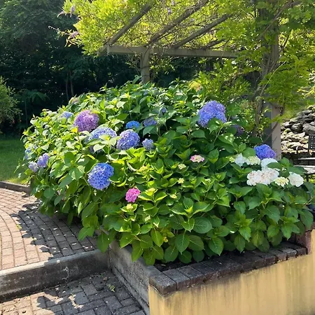 Salici, Pool&garden *