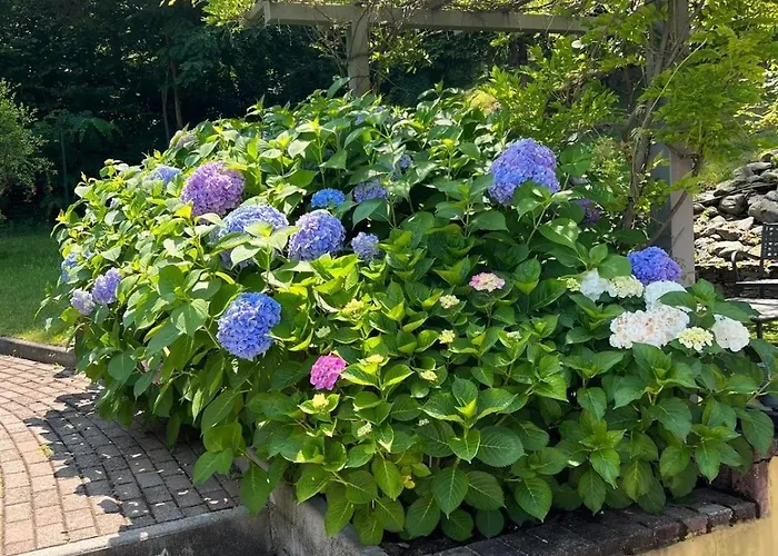 Salici, Pool & Garden *