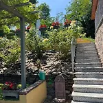 Salici, Pool & Garden