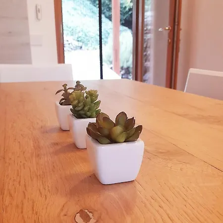 Salici, Pool & Garden Villa *