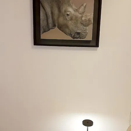 Salici, Pool & Garden *