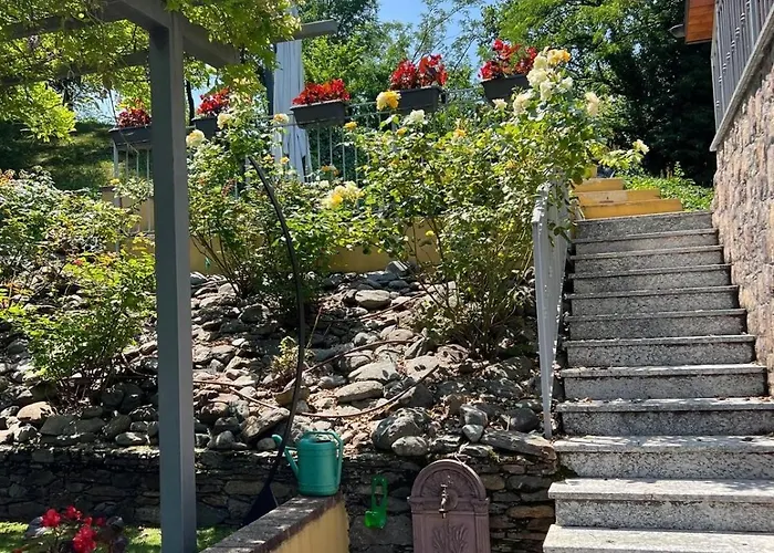 Salici, Pool&garden